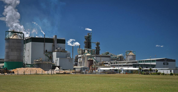 Tasman Pulp and Paper Service