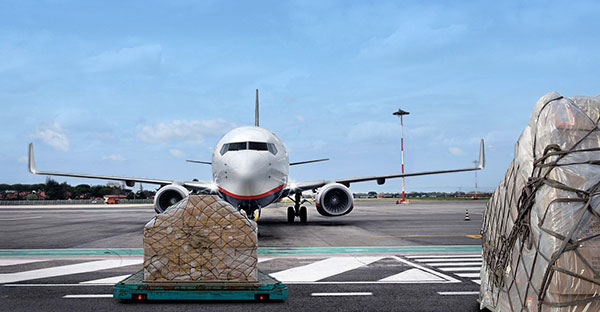 Airfreight Division Starts